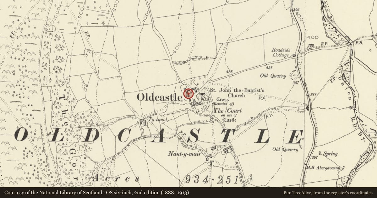 Ordnance Survey six-inch map, 2nd edition (1888–1913) covering the location of Barn at Oldcastle Court Farm, Crucorney, Monmouthshire, with a pin at the register's coordinates
