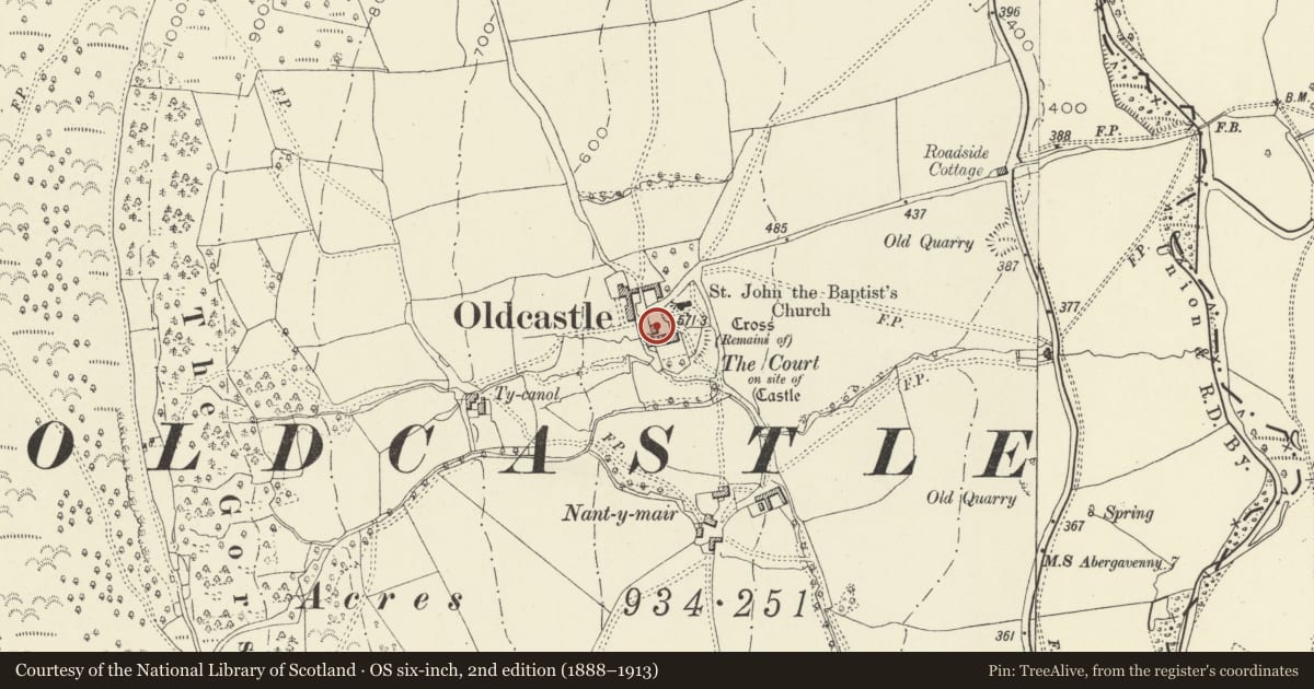 Ordnance Survey six-inch map, 2nd edition (1888–1913) covering the location of Granary at Oldcastle Court Farm, Crucorney, Monmouthshire, with a pin at the register's coordinates