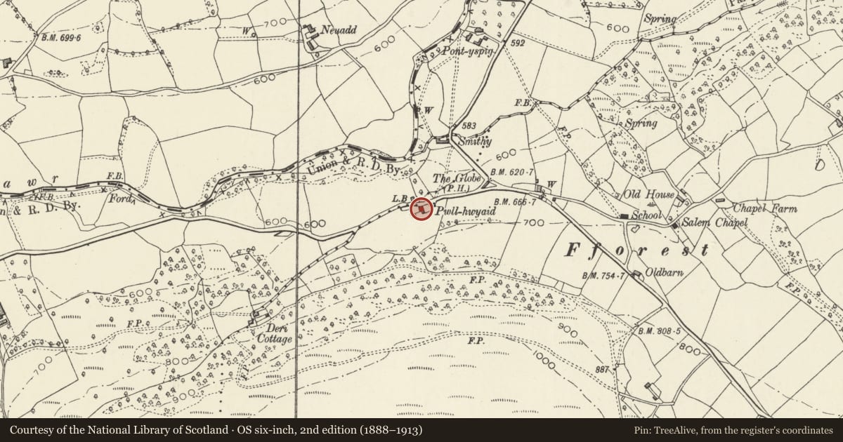 Ordnance Survey six-inch map, 2nd edition (1888–1913) covering the location of Pwll-y-hwyaid Farmhouse, Crucorney, Monmouthshire, with a pin at the register's coordinates