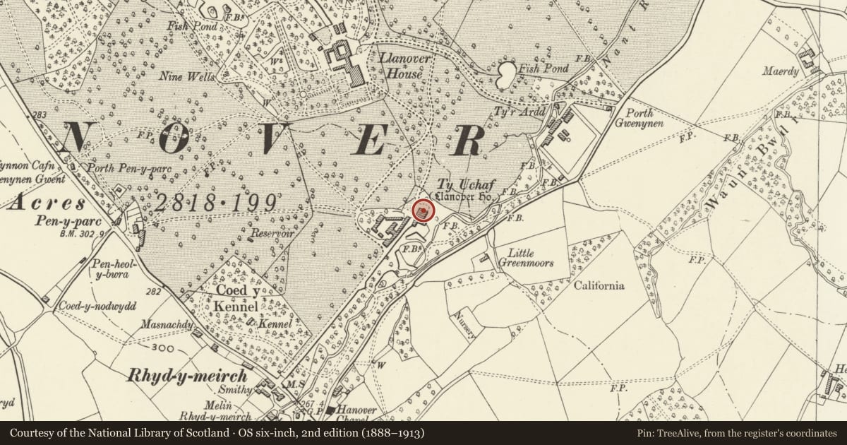Ordnance Survey six-inch map, 2nd edition (1888–1913) covering the location of Ty Uchaf, Goetre Fawr, Monmouthshire, with a pin at the register's coordinates