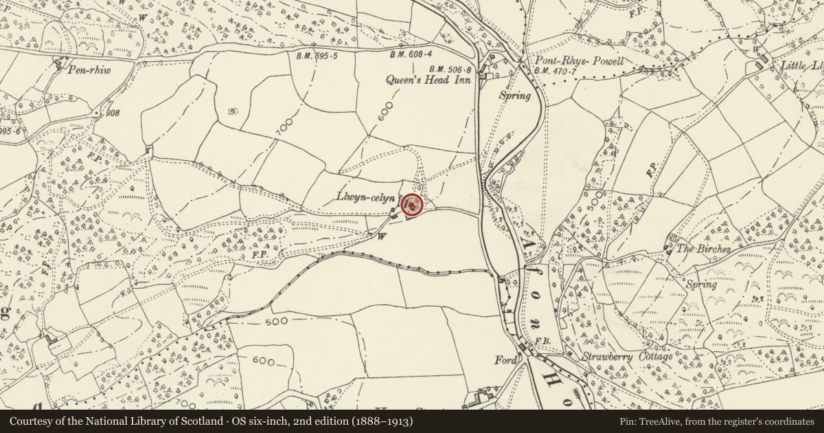 Ordnance Survey six-inch map, 2nd edition (1888–1913) covering the location of Barn at Llwyn-celyn Farm, Crucorney, Monmouthshire, with a pin at the register's coordinates
