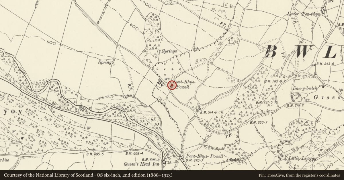 Ordnance Survey six-inch map, 2nd edition (1888–1913) covering the location of Large Barn at Pont Rhys Powell Farm, Crucorney, Monmouthshire, with a pin at the register's coordinates