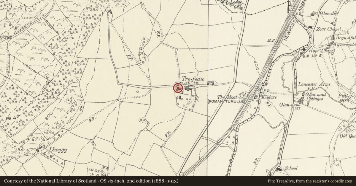 Ordnance Survey six-inch map, 2nd edition (1888–1913) covering the location of Barn at Treveddw Farm, Crucorney, Monmouthshire, with a pin at the register's coordinates