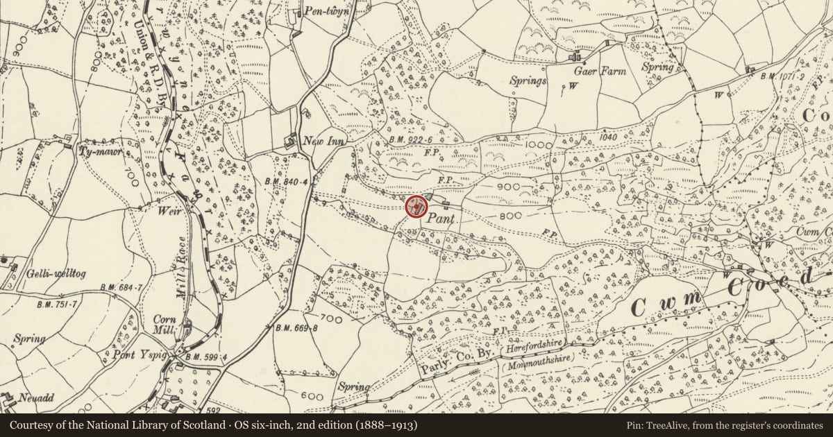 Ordnance Survey six-inch map, 2nd edition (1888–1913) covering the location of Barn at The Pant, Crucorney, Monmouthshire, with a pin at the register's coordinates