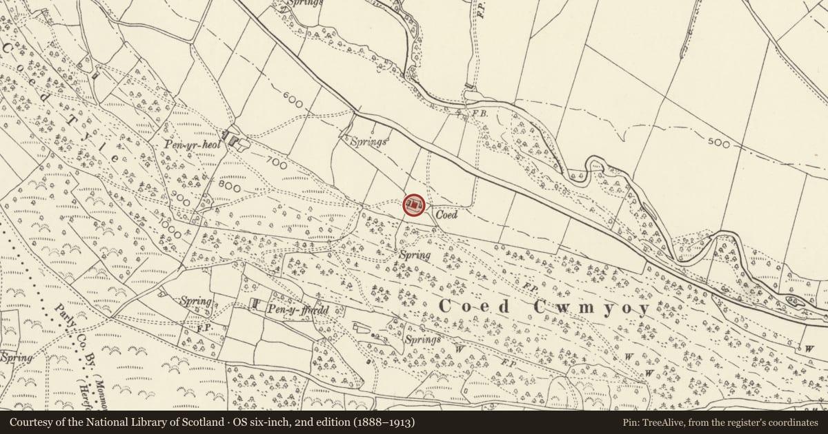 Ordnance Survey six-inch map, 2nd edition (1888–1913) covering the location of Coed Farmhouse, Crucorney, Monmouthshire, with a pin at the register's coordinates