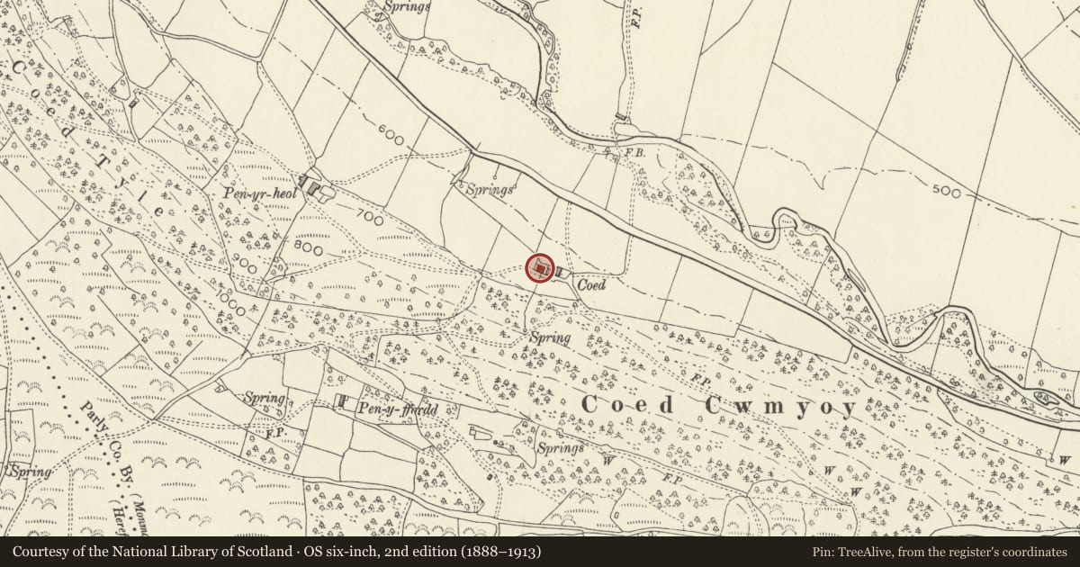 Ordnance Survey six-inch map, 2nd edition (1888–1913) covering the location of Outhouse/Detached Kitchen at Coed Farm, Crucorney, Monmouthshire, with a pin at the register's coordinates