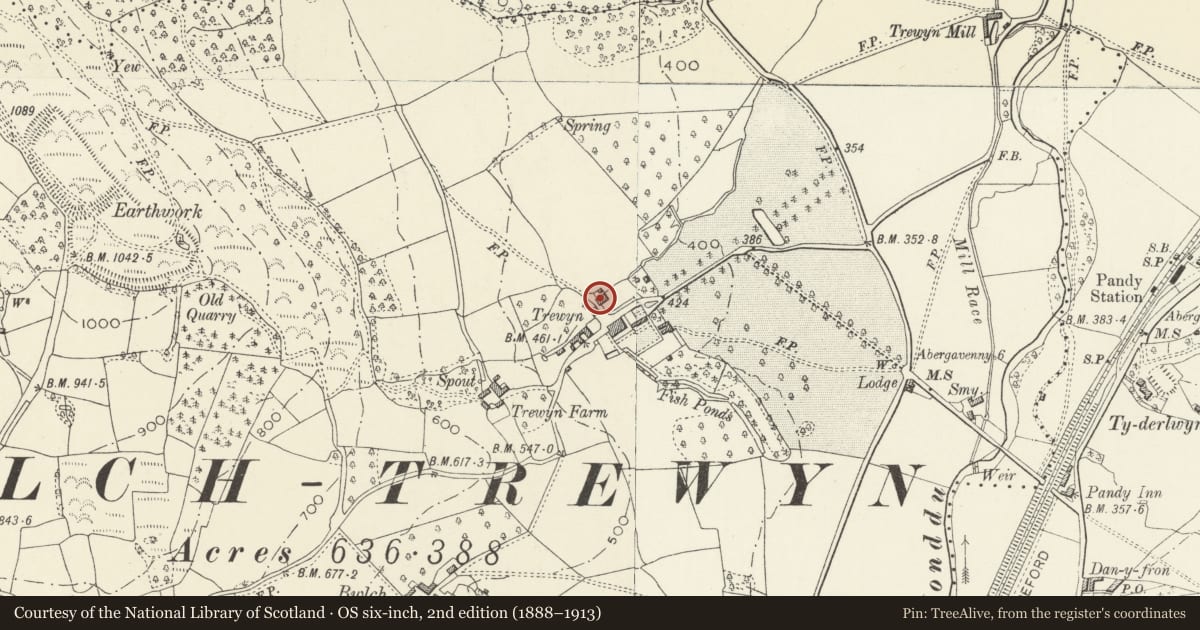Ordnance Survey six-inch map, 2nd edition (1888–1913) covering the location of The Manor House, Crucorney, Monmouthshire, with a pin at the register's coordinates