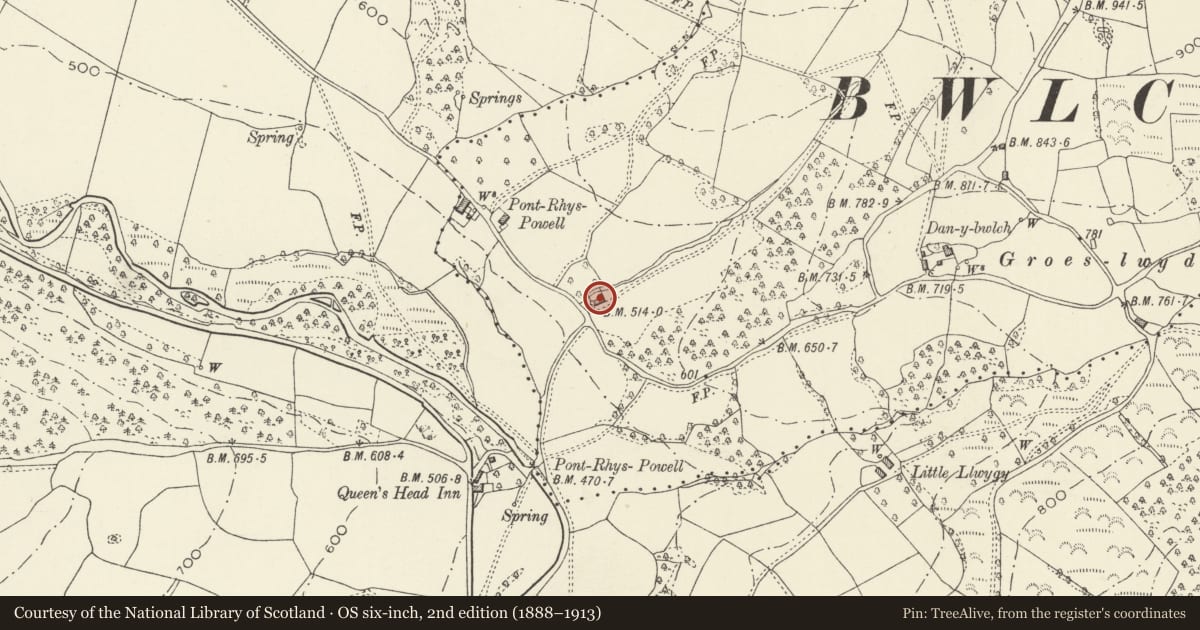 Ordnance Survey six-inch map, 2nd edition (1888–1913) covering the location of Small Barn east of Pont Rhys Powell Farm, Crucorney, Monmouthshire, with a pin at the register's coordinates