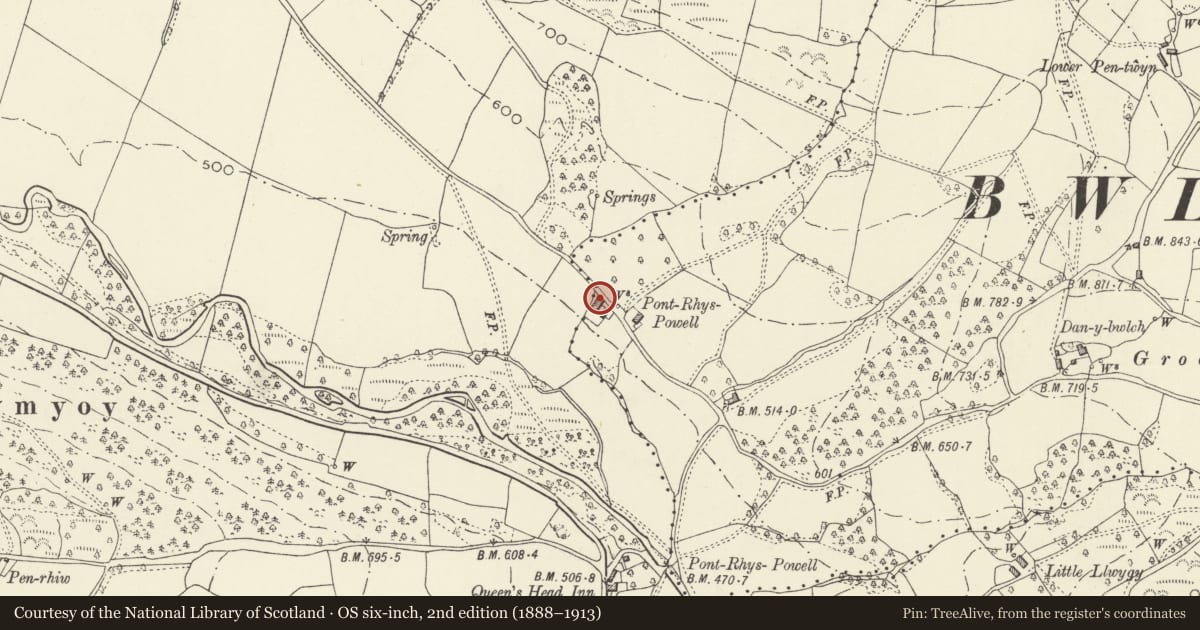 Ordnance Survey six-inch map, 2nd edition (1888–1913) covering the location of Granary and Stable at Pont Rhys Powell Farm, Crucorney, Monmouthshire, with a pin at the register's coordinates