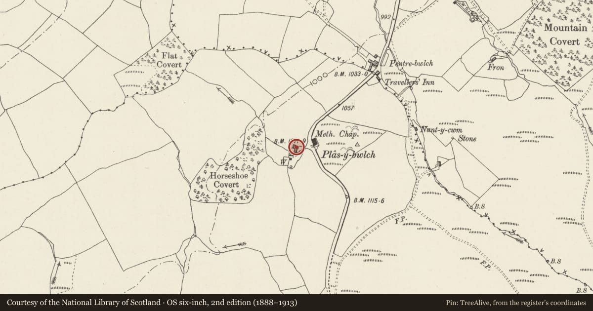 Ordnance Survey six-inch map, 2nd edition (1888–1913) covering the location of Plas-y-Bwlch, Llandegla, Denbighshire, with a pin at the register's coordinates
