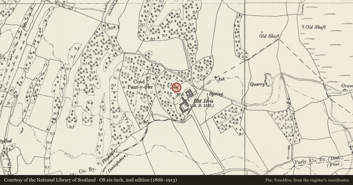 Ordnance Survey six-inch map, 2nd edition (1888–1913) covering the location of Garden Wall at Bodidris, Llandegla, Denbighshire, with a pin at the register's coordinates
