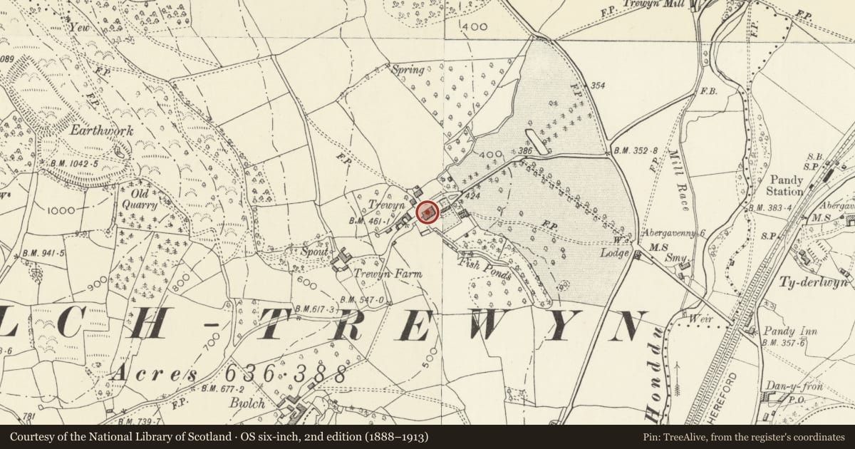 Ordnance Survey six-inch map, 2nd edition (1888–1913) covering the location of Trewyn House, Crucorney, Monmouthshire, with a pin at the register's coordinates