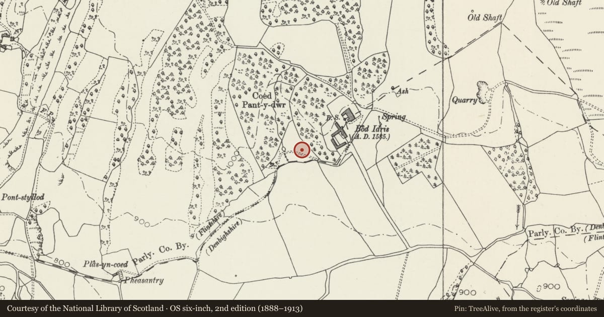 Ordnance Survey six-inch map, 2nd edition (1888–1913) covering the location of Gardener's Cottage, Laundry Cottage and Barn to South-west of Bodidris, Llandegla, Denbighshire, with a pin at the register's coordinates