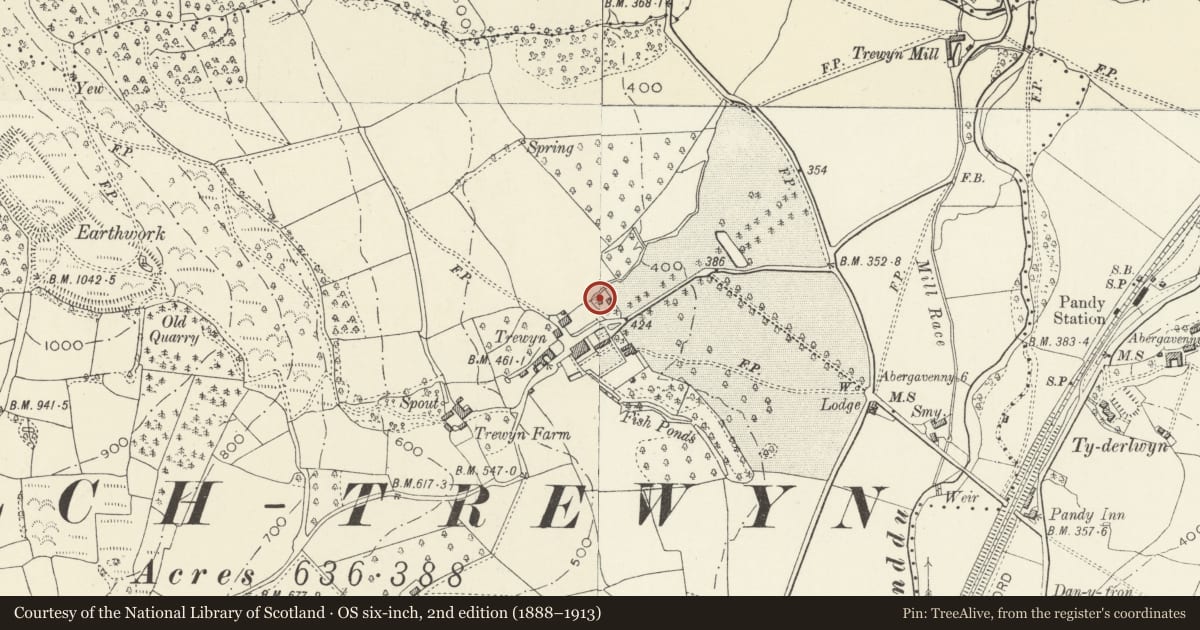Ordnance Survey six-inch map, 2nd edition (1888–1913) covering the location of Dovecote at Trewyn House, Crucorney, Monmouthshire, with a pin at the register's coordinates