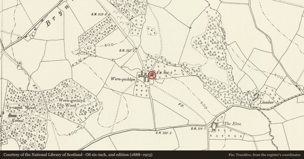 Ordnance Survey six-inch map, 2nd edition (1888–1913) covering the location of Wern-gochlyn Farmhouse, Llantilio Pertholey, Monmouthshire, with a pin at the register's coordinates