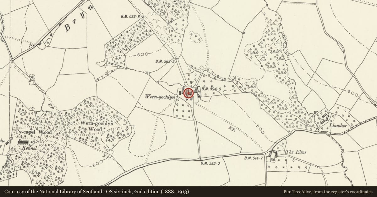 Ordnance Survey six-inch map, 2nd edition (1888–1913) covering the location of Barn at Wern-gochlyn Farm, Llantilio Pertholey, Monmouthshire, with a pin at the register's coordinates