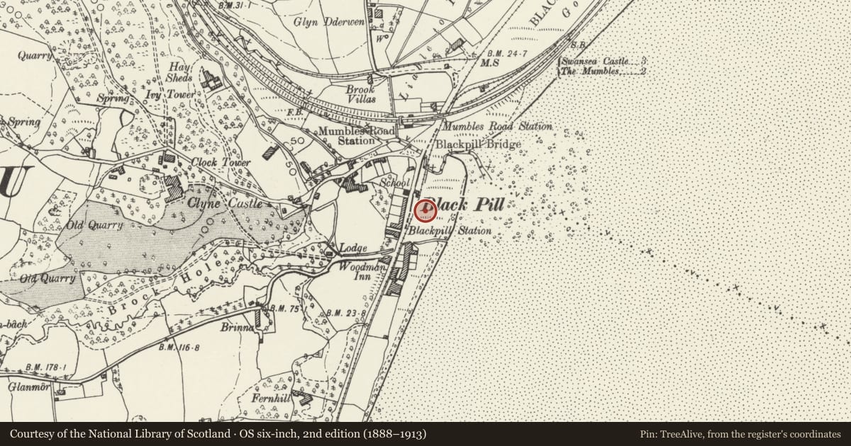 Ordnance Survey six-inch map, 2nd edition (1888–1913) covering the location of Former Mumbles Railway Electricity Sub-Station, Swansea, with a pin at the register's coordinates