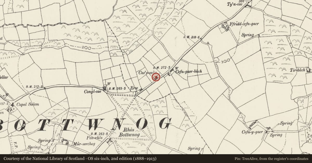 Ordnance Survey six-inch map, 2nd edition (1888–1913) covering the location of Cae Mur, Botwnnog, Gwynedd, with a pin at the register's coordinates