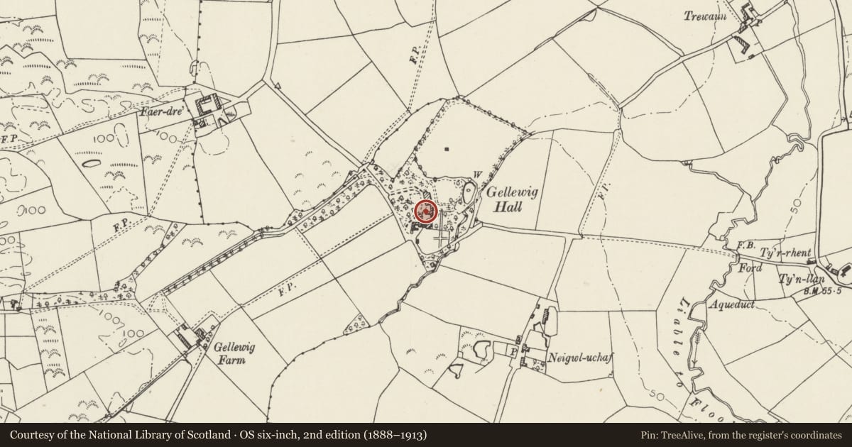 Ordnance Survey six-inch map, 2nd edition (1888–1913) covering the location of Coach House and Stables at Plas Gelliwig, Botwnnog, Gwynedd, with a pin at the register's coordinates