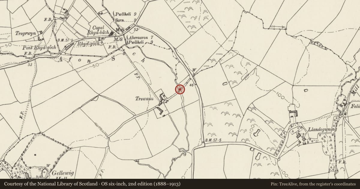 Ordnance Survey six-inch map, 2nd edition (1888–1913) covering the location of Bridge at Trewen, Botwnnog, Gwynedd, with a pin at the register's coordinates