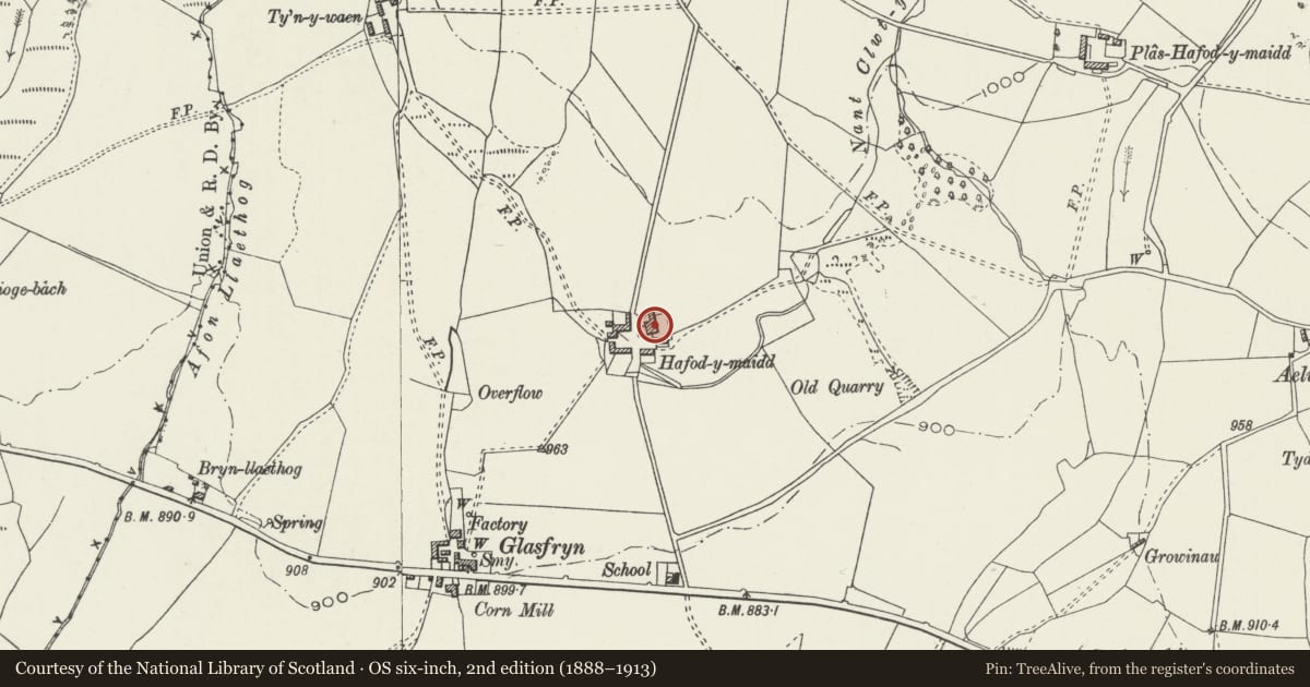 Ordnance Survey six-inch map, 2nd edition (1888–1913) covering the location of Cowhouse, Yards and Stable at Hafod y Maidd, Cerrigydrudion, Conwy, with a pin at the register's coordinates