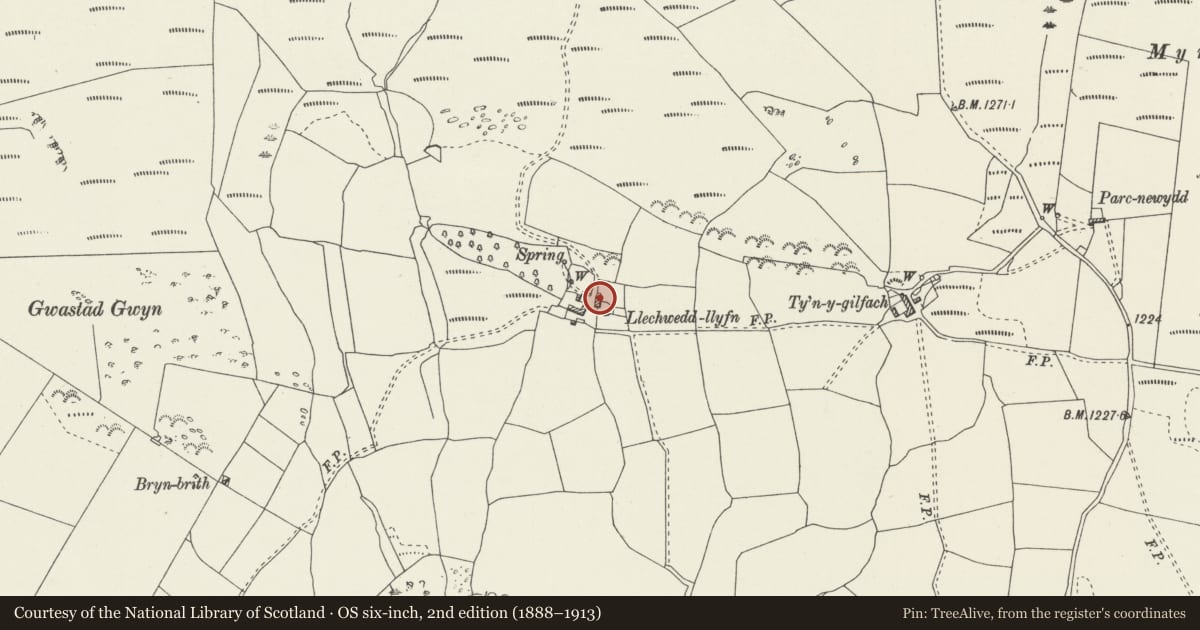 Ordnance Survey six-inch map, 2nd edition (1888–1913) covering the location of Llechwedd-llyfn, Cerrigydrudion, Conwy, with a pin at the register's coordinates