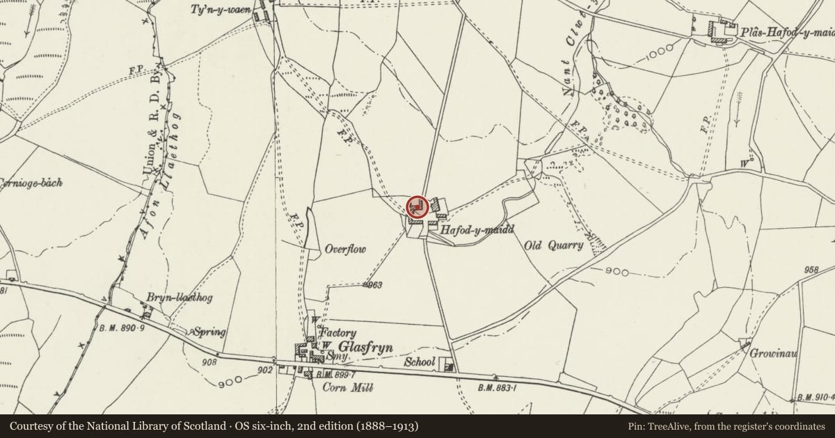 Ordnance Survey six-inch map, 2nd edition (1888–1913) covering the location of Barn and Carthouse opposite Hafod y Maidd including attached pigsties, Cerrigydrudion, Conwy, with a pin at the register's coordinates