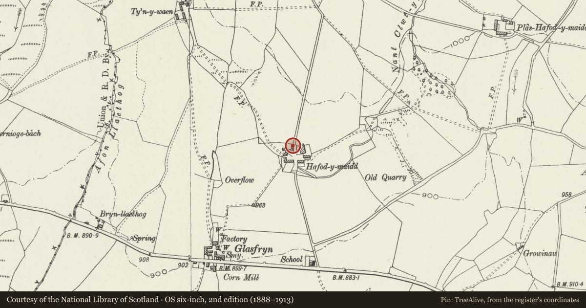 Ordnance Survey six-inch map, 2nd edition (1888–1913) covering the location of Carthouse at Hafod y Maidd, Cerrigydrudion, Conwy, with a pin at the register's coordinates