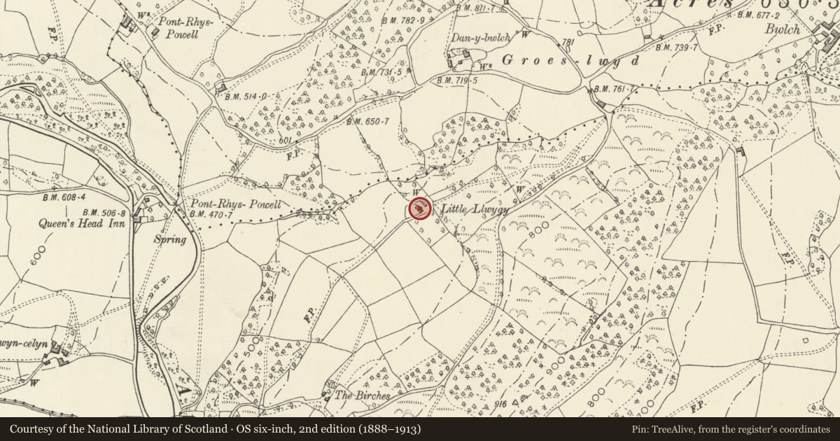 Ordnance Survey six-inch map, 2nd edition (1888–1913) covering the location of Little Llwygy Farmhouse, Crucorney, Monmouthshire, with a pin at the register's coordinates