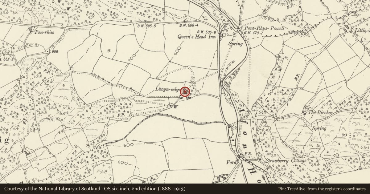 Ordnance Survey six-inch map, 2nd edition (1888–1913) covering the location of Llwyn-celyn Farmhouse, Crucorney, Monmouthshire, with a pin at the register's coordinates