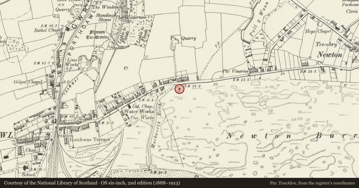 Ordnance Survey six-inch map, 2nd edition (1888–1913) covering the location of Newton Primary School (2 blocks), Porthcawl, Bridgend, with a pin at the register's coordinates