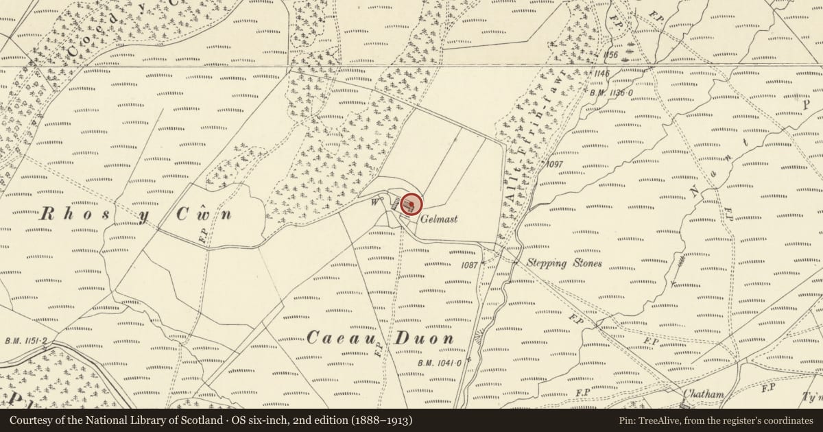 Ordnance Survey six-inch map, 2nd edition (1888–1913) covering the location of Gelmast Farm including attached dairy and cowhouse, cartshed and stable, and yard wall, Pontarfynach, Ceredigion, with a pin at the register's coordinates