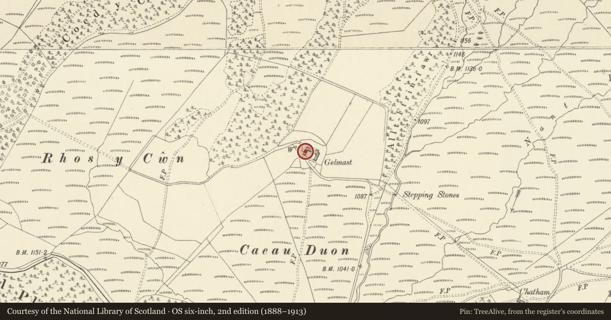 Ordnance Survey six-inch map, 2nd edition (1888–1913) covering the location of Barn and attached wall at Gelmast, Pontarfynach, Ceredigion, with a pin at the register's coordinates