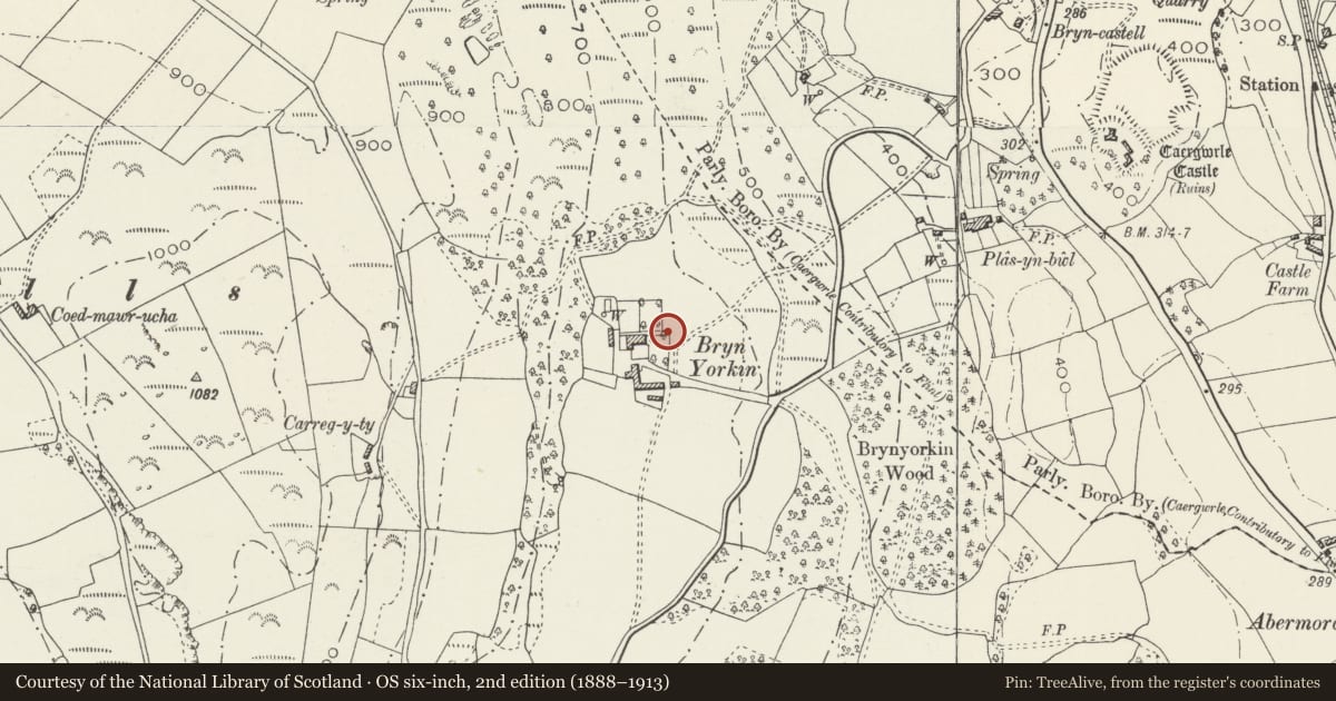 Ordnance Survey six-inch map, 2nd edition (1888–1913) covering the location of Privy at Bryn Iorcyn Manor, Llanfynydd, Flintshire, with a pin at the register's coordinates