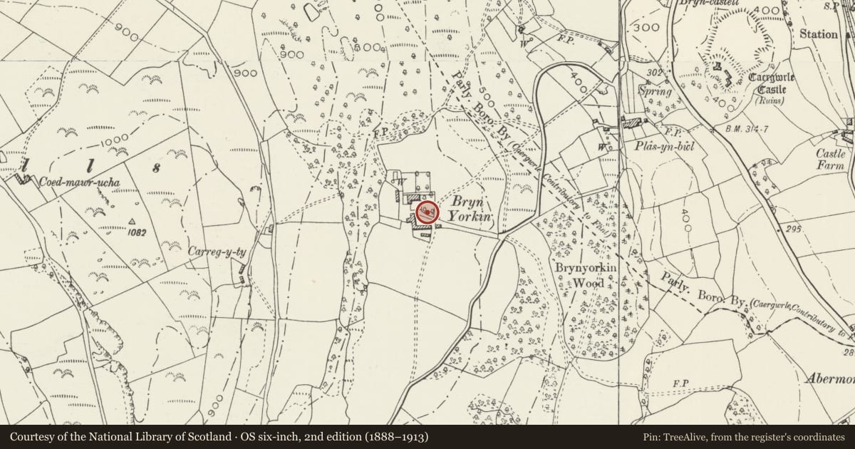 Ordnance Survey six-inch map, 2nd edition (1888–1913) covering the location of Garden Wall and Gatepiers E of Bryn Iorcyn Manor, Llanfynydd, Flintshire, with a pin at the register's coordinates