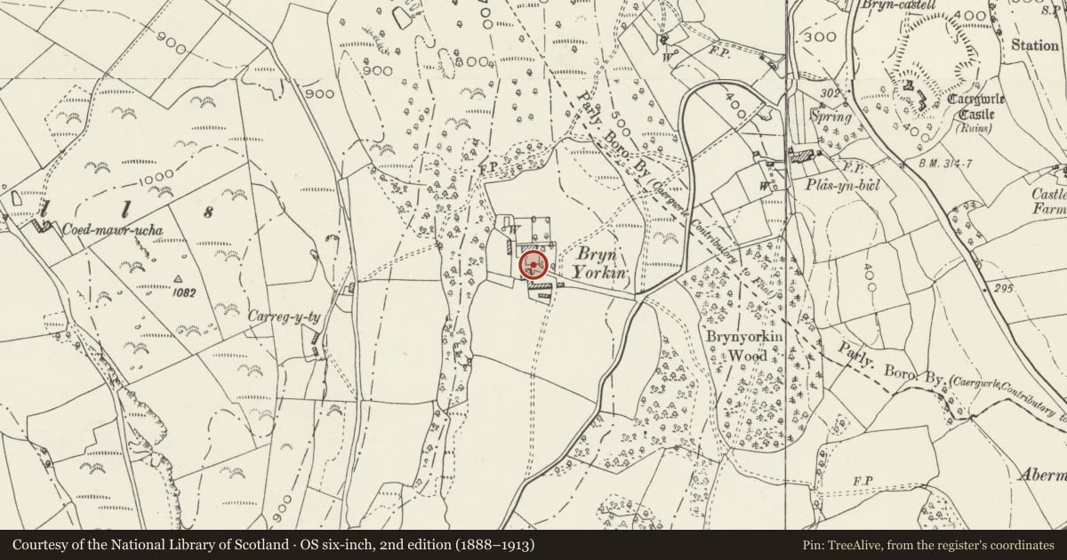 Ordnance Survey six-inch map, 2nd edition (1888–1913) covering the location of Garden Wall and Gatepiers S of Bryn Iorcyn Manor, Llanfynydd, Flintshire, with a pin at the register's coordinates