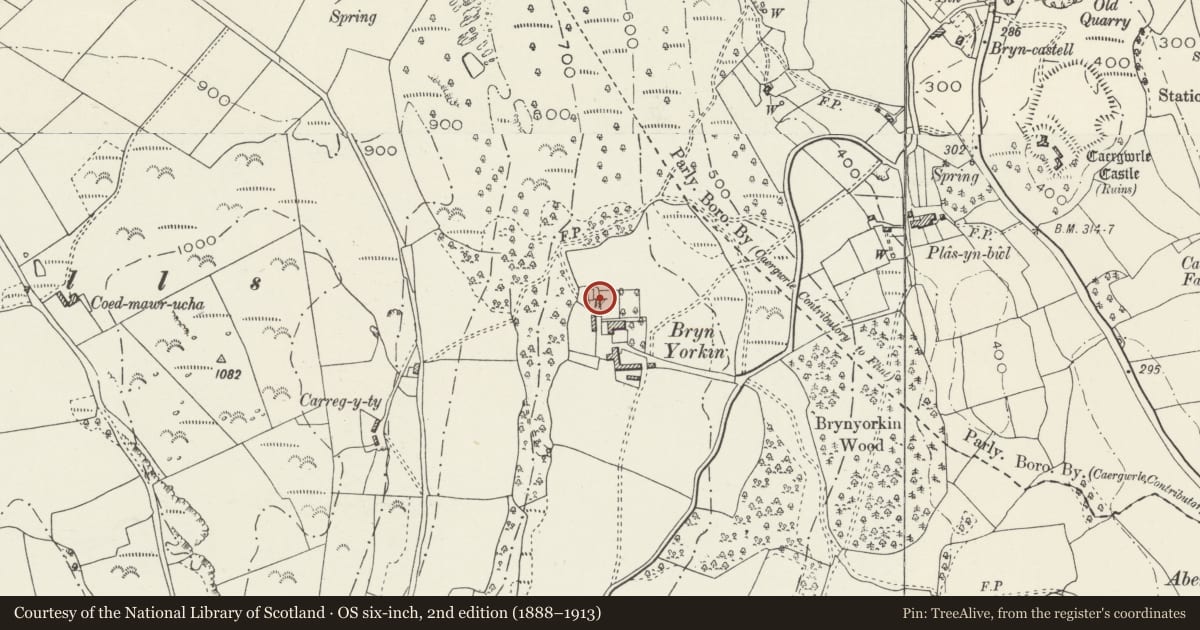 Ordnance Survey six-inch map, 2nd edition (1888–1913) covering the location of Garden Walls N of Bryn Iorcyn Manor including range of pigsties W of the house, Llanfynydd, Flintshire, with a pin at the register's coordinates