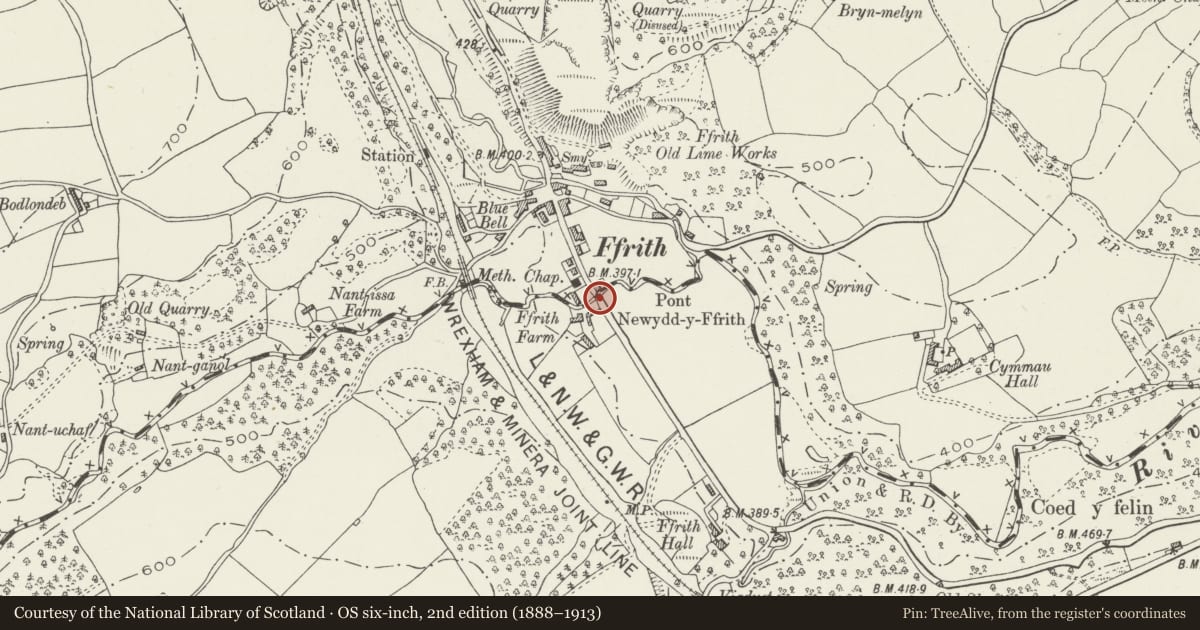 Ordnance Survey six-inch map, 2nd edition (1888–1913) covering the location of Pont Newydd y Ffrith, Llanfynydd, Flintshire, with a pin at the register's coordinates