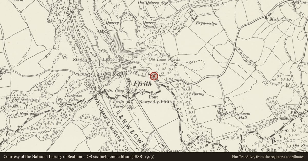 Ordnance Survey six-inch map, 2nd edition (1888–1913) covering the location of Ffrith Bridge, Llanfynydd, Flintshire, with a pin at the register's coordinates