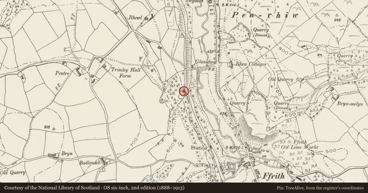Ordnance Survey six-inch map, 2nd edition (1888–1913) covering the location of Pair of Lime Kilns at Ffrith Quarry, Llanfynydd, Flintshire, with a pin at the register's coordinates