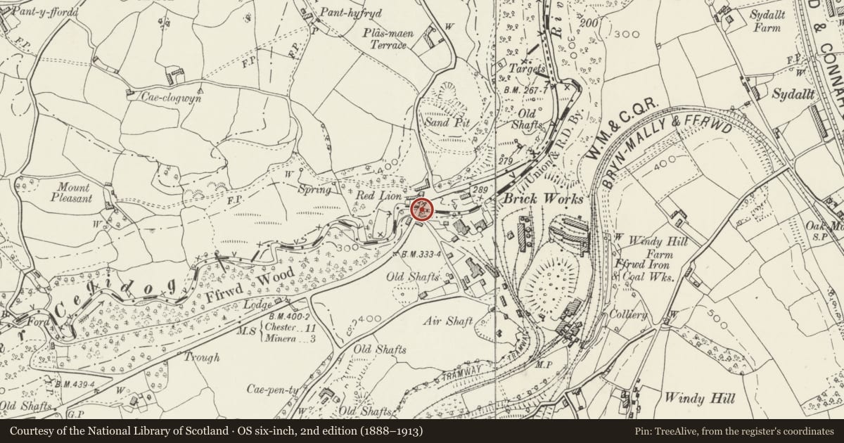 Ordnance Survey six-inch map, 2nd edition (1888–1913) covering the location of Ffrwd Bridge, Llanfynydd, Flintshire, with a pin at the register's coordinates
