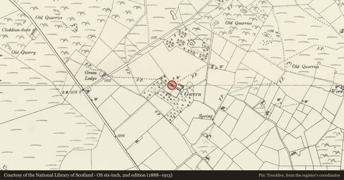 Ordnance Survey six-inch map, 2nd edition (1888–1913) covering the location of Gwern Hall, Llanfynydd, Flintshire, with a pin at the register's coordinates