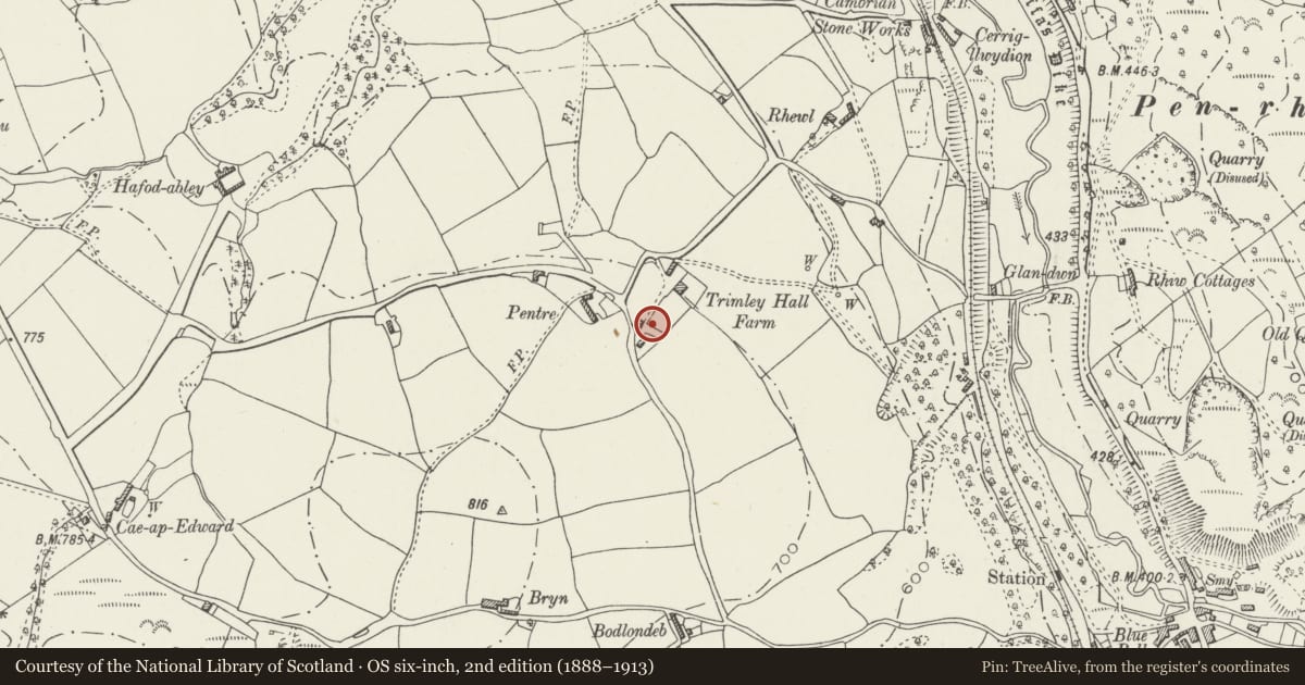 Ordnance Survey six-inch map, 2nd edition (1888–1913) covering the location of Trimley Hall Barn, Llanfynydd, Flintshire, with a pin at the register's coordinates