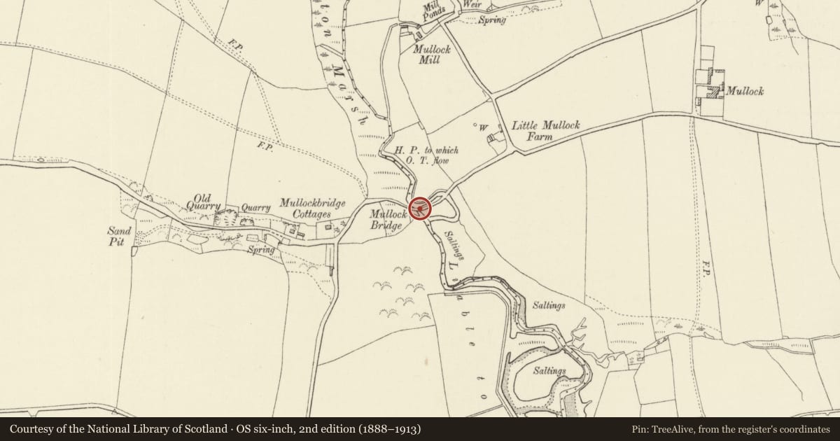 Ordnance Survey six-inch map, 2nd edition (1888–1913) covering the location of Mullock Bridge (partly in St Ishmaels community), Marloes and St. Brides, Pembrokeshire, with a pin at the register's coordinates