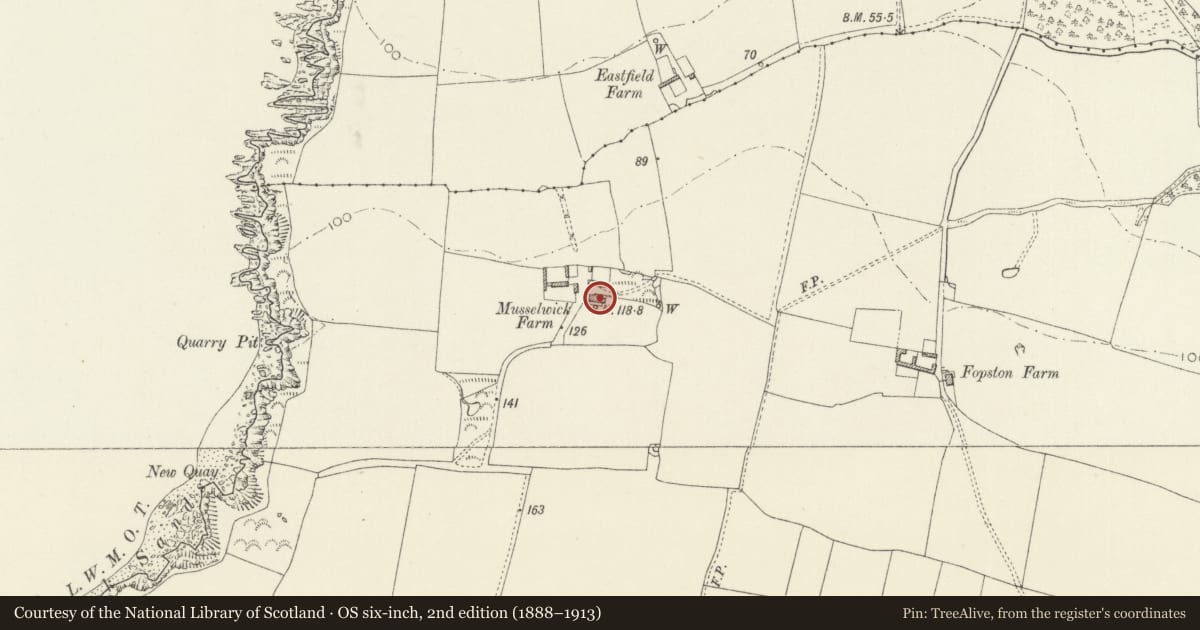 Ordnance Survey six-inch map, 2nd edition (1888–1913) covering the location of Musselwick, Marloes and St. Brides, Pembrokeshire, with a pin at the register's coordinates