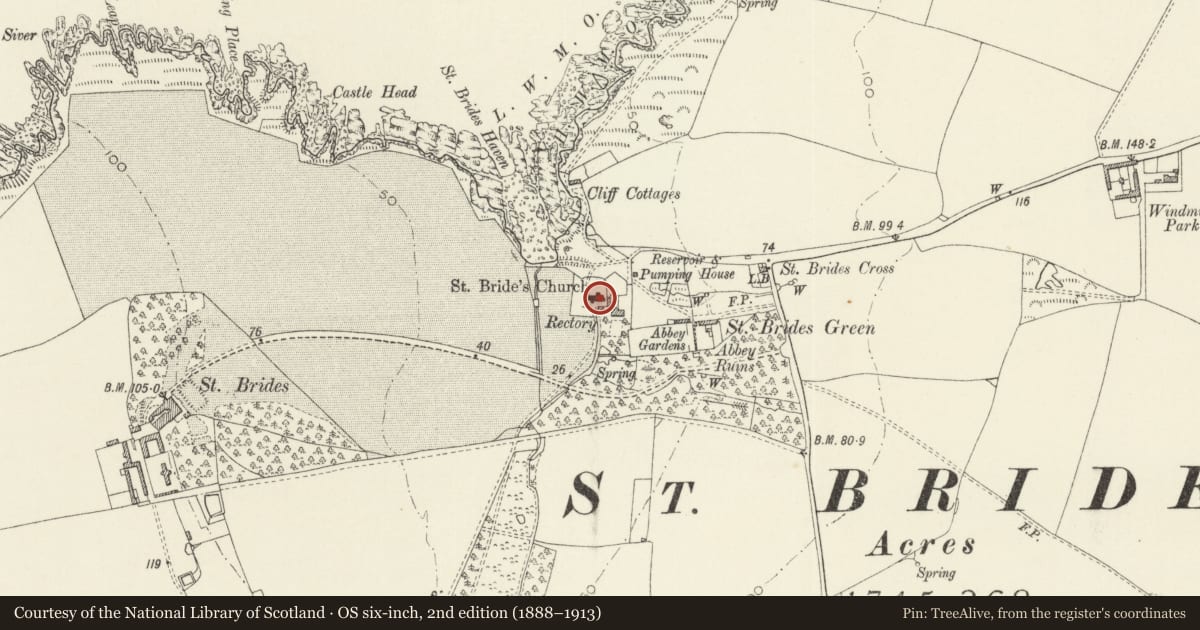 Ordnance Survey six-inch map, 2nd edition (1888–1913) covering the location of Church of Saint Bridget, Marloes and St. Brides, Pembrokeshire, with a pin at the register's coordinates