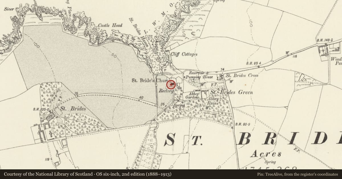 Ordnance Survey six-inch map, 2nd edition (1888–1913) covering the location of Benjamin Ferrior Tomb, Church of Saint Bridget, Marloes and St. Brides, Pembrokeshire, with a pin at the register's coordinates