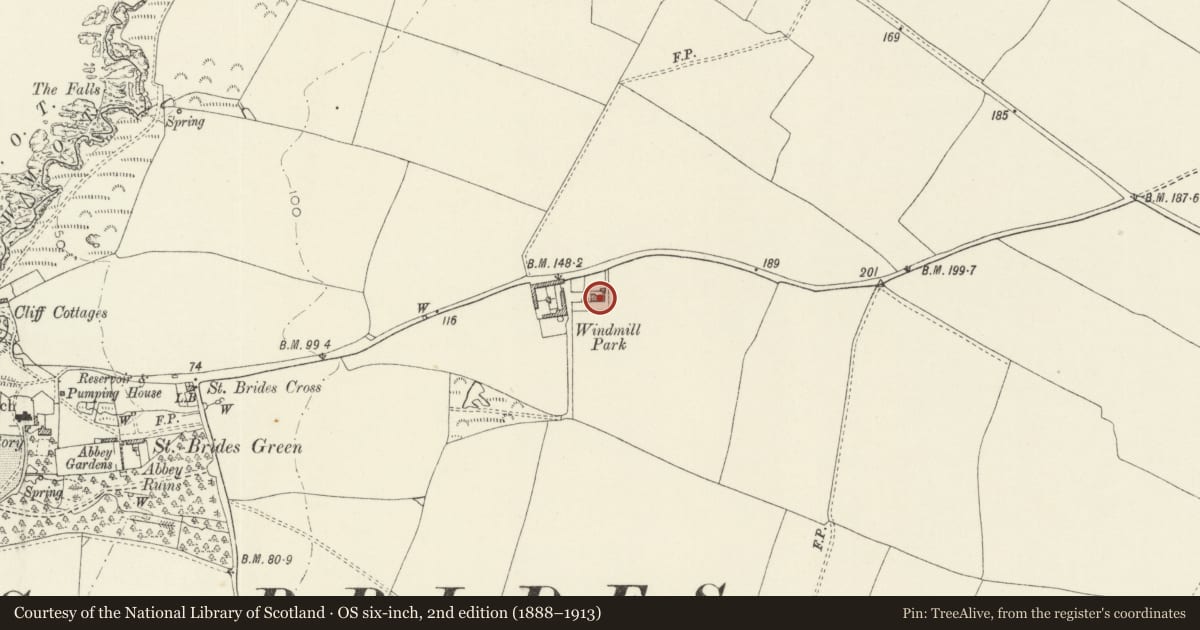 Ordnance Survey six-inch map, 2nd edition (1888–1913) covering the location of Windmill Park, Marloes and St. Brides, Pembrokeshire, with a pin at the register's coordinates