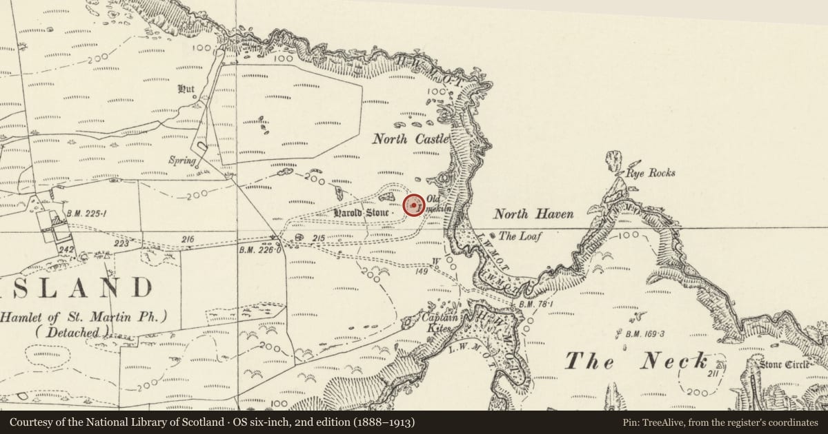 Ordnance Survey six-inch map, 2nd edition (1888–1913) covering the location of Lime Kiln on Skomer Island, Marloes and St. Brides, Pembrokeshire, with a pin at the register's coordinates