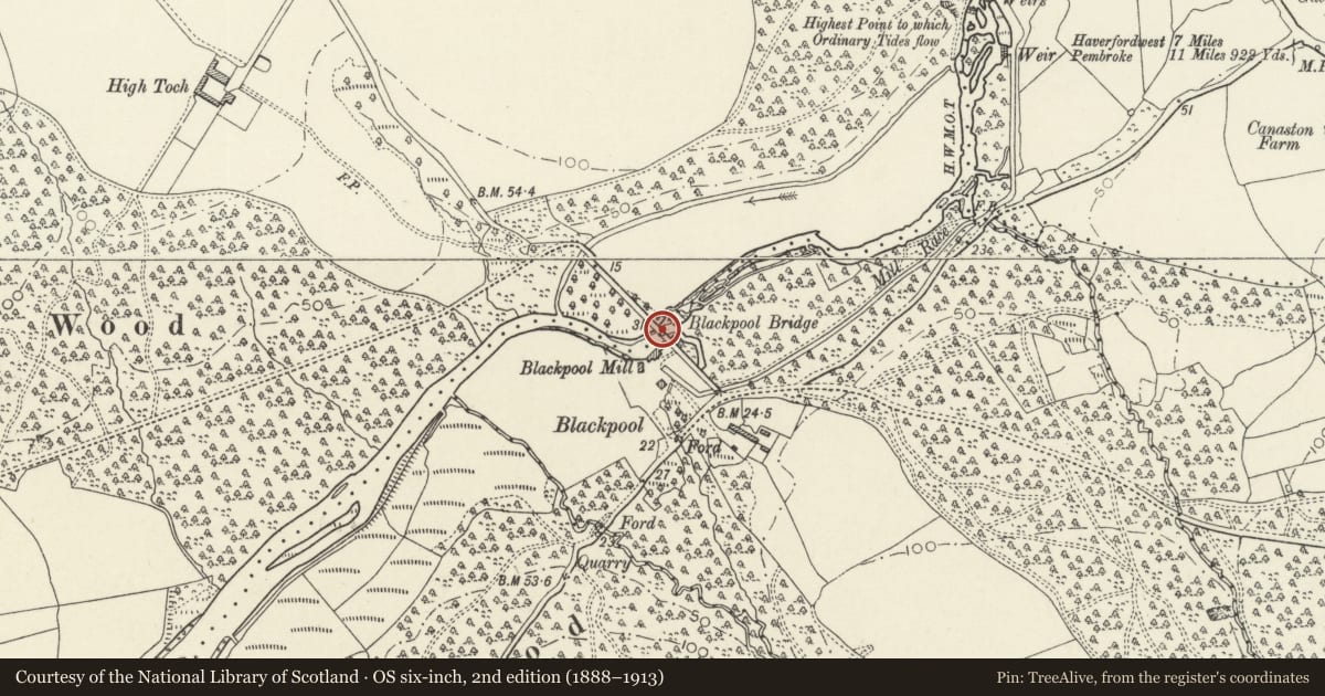 Ordnance Survey six-inch map, 2nd edition (1888–1913) covering the location of Blackpool Bridge, Slebech, Pembrokeshire, with a pin at the register's coordinates